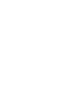 check-icon